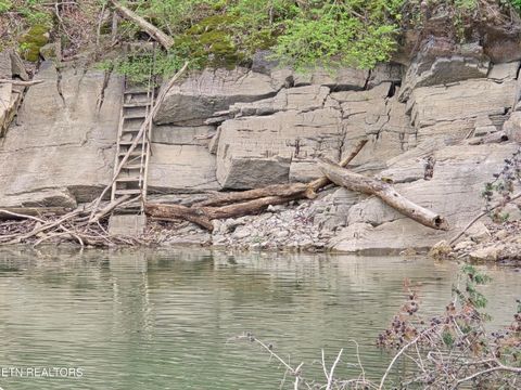Tiny photo for 3711 Elm Springs Ridge Rd, Washburn, TN 37888 (MLS # 1338379)
