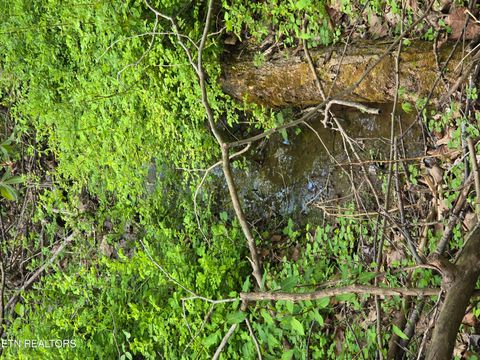Tiny photo for 3711 Elm Springs Ridge Rd, Washburn, TN 37888 (MLS # 1338379)