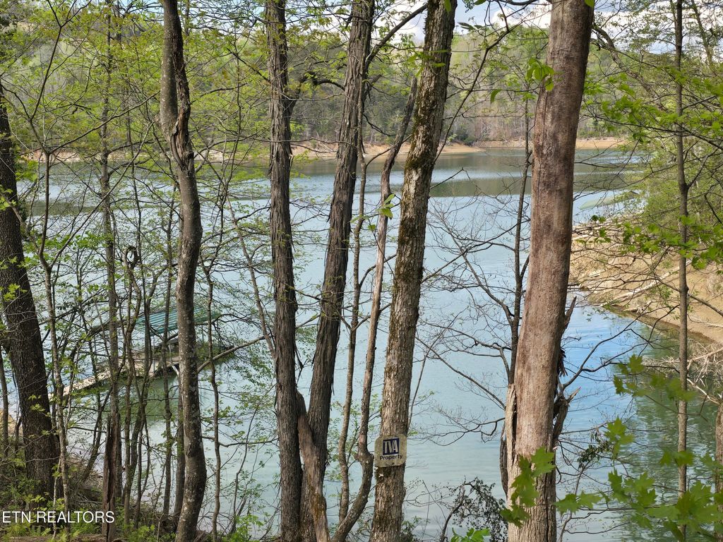 Photo of 3711 Elm Springs Ridge Rd, Washburn, TN 37888 (MLS # 1338379)