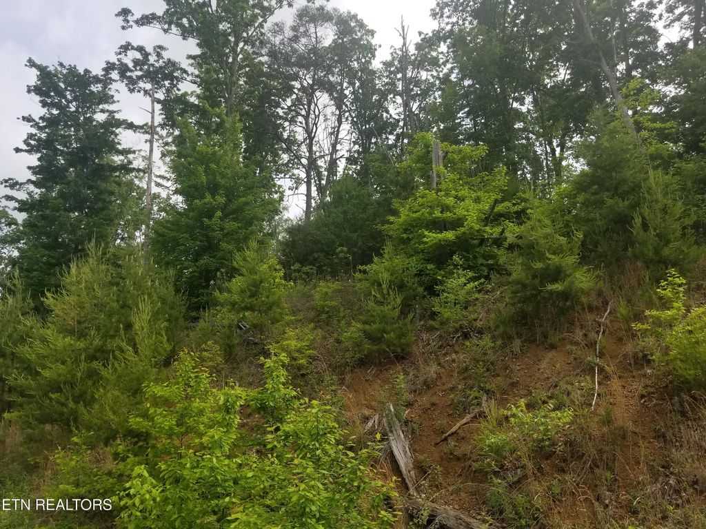 Photo of 33 Bayside Blvd, Bean Station, TN 37708 (MLS # 1286860)