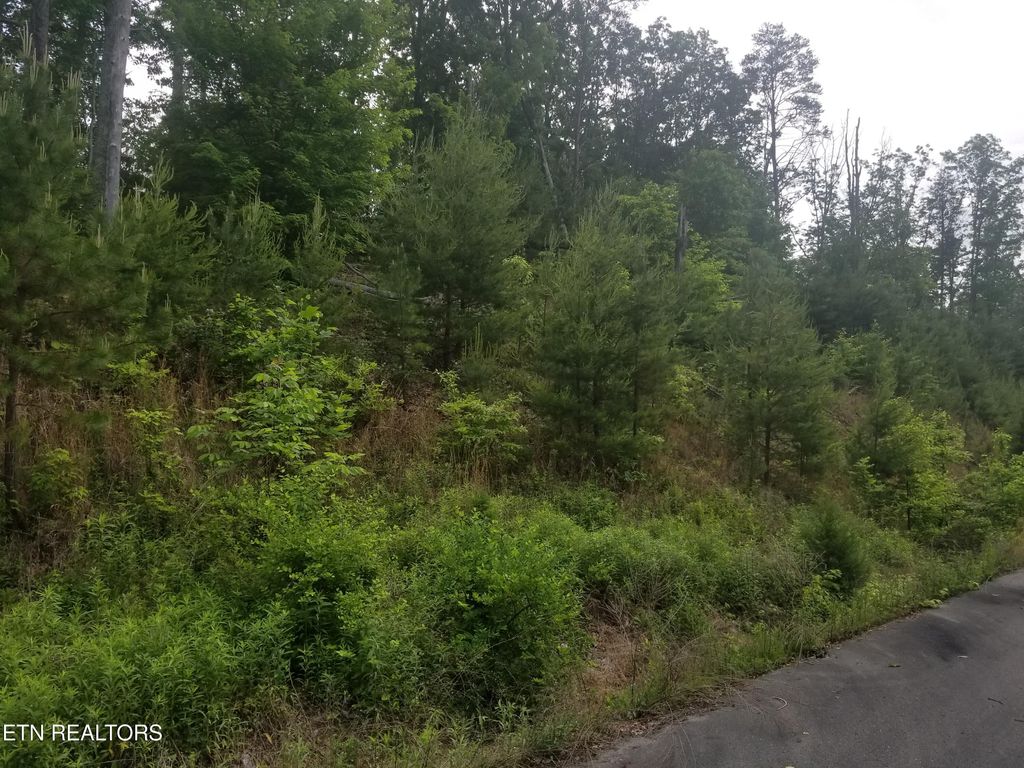Photo of 33 Bayside Blvd, Bean Station, TN 37708 (MLS # 1286860)