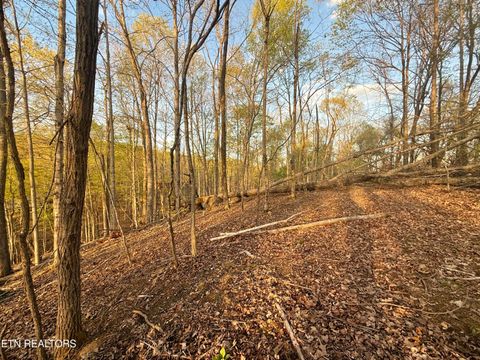 Tiny photo for 2109 Kahiti Court & Kahiti Court, Mooresburg, TN 37811 (MLS # 1331989)