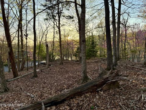 Tiny photo for 2109 Kahiti Court & Kahiti Court, Mooresburg, TN 37811 (MLS # 1331989)