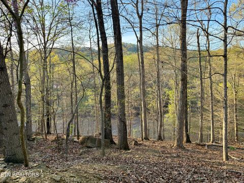Tiny photo for 2109 Kahiti Court & Kahiti Court, Mooresburg, TN 37811 (MLS # 1331989)