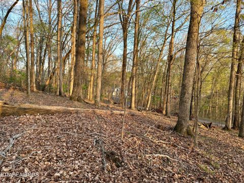 Tiny photo for 2109 Kahiti Court & Kahiti Court, Mooresburg, TN 37811 (MLS # 1331989)