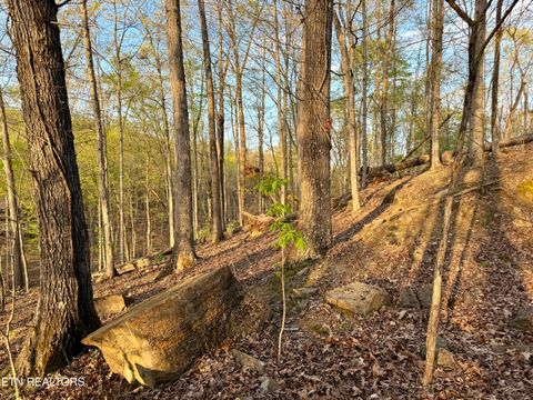 Tiny photo for 2109 Kahiti Court & Kahiti Court, Mooresburg, TN 37811 (MLS # 1331989)