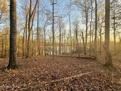 Tiny photo for 2109 Kahiti Court & Kahiti Court, Mooresburg, TN 37811 (MLS # 1331989)