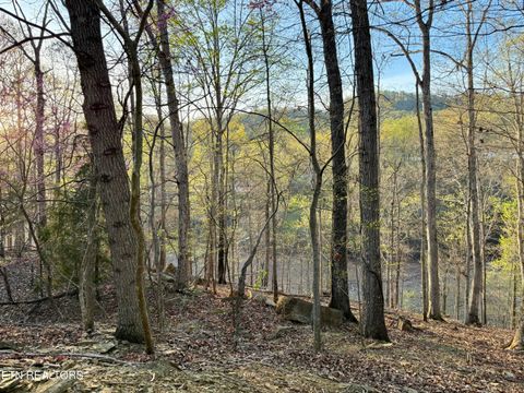 Tiny photo for 2109 Kahiti Court & Kahiti Court, Mooresburg, TN 37811 (MLS # 1331989)