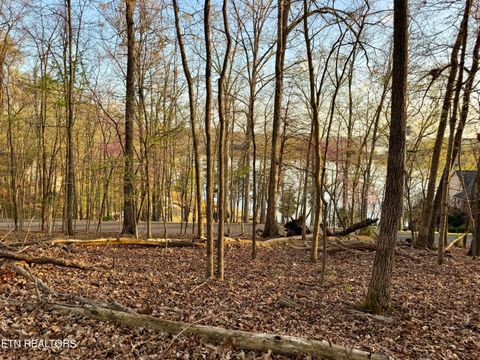 Tiny photo for 2109 Kahiti Court & Kahiti Court, Mooresburg, TN 37811 (MLS # 1331989)