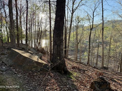 Tiny photo for 2109 Kahiti Court & Kahiti Court, Mooresburg, TN 37811 (MLS # 1331989)