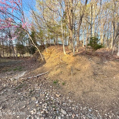 Tiny photo for 2109 Kahiti Court & Kahiti Court, Mooresburg, TN 37811 (MLS # 1331989)