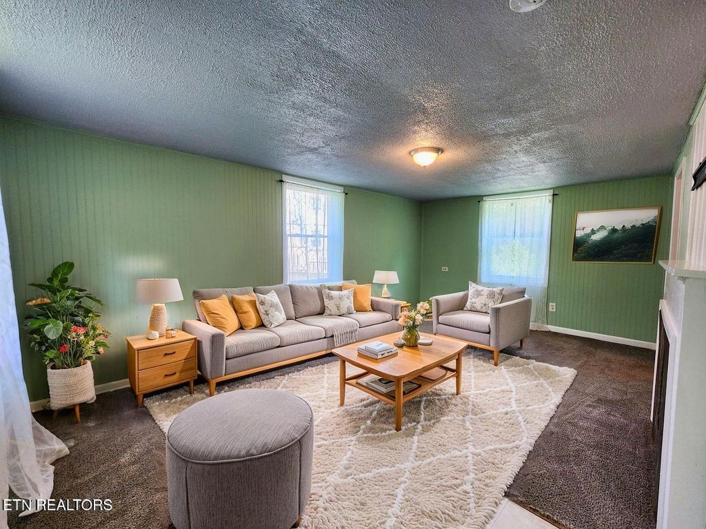 Photo of 224 Oak Rd, Norris, TN 37828 (MLS # 1304314)