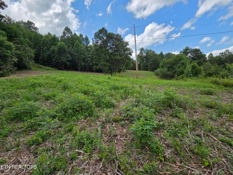 Tiny photo for Old Huntsville-Jamestown Rd, Robbins, TN 37852 (MLS # 1349937)