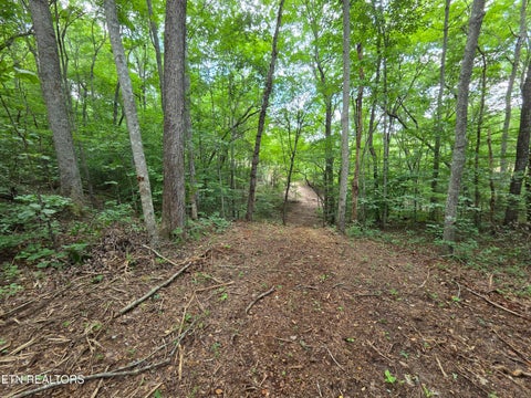 Tiny photo for Old Huntsville-Jamestown Rd, Robbins, TN 37852 (MLS # 1349937)
