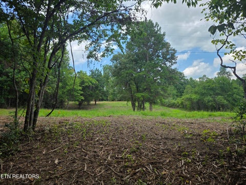 Tiny photo for Old Huntsville-Jamestown Rd, Robbins, TN 37852 (MLS # 1349937)
