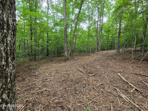Tiny photo for Old Huntsville-Jamestown Rd, Robbins, TN 37852 (MLS # 1349937)