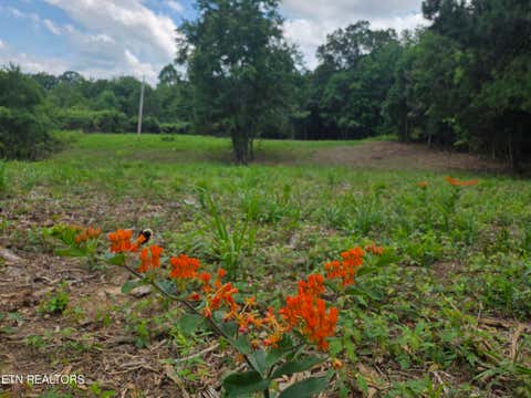 Tiny photo for Old Huntsville-Jamestown Rd, Robbins, TN 37852 (MLS # 1349937)
