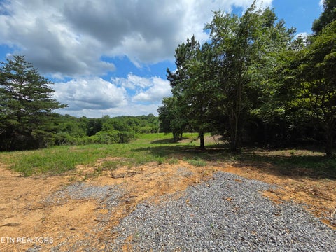 Tiny photo for Old Huntsville-Jamestown Rd, Robbins, TN 37852 (MLS # 1349937)