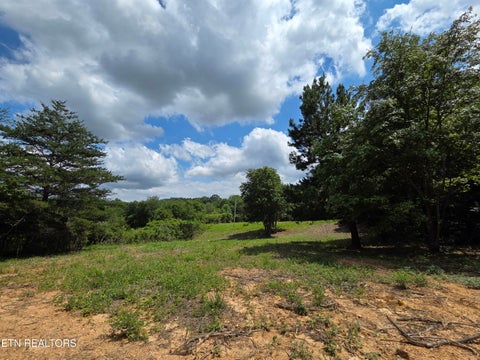 Tiny photo for Old Huntsville-Jamestown Rd, Robbins, TN 37852 (MLS # 1349937)