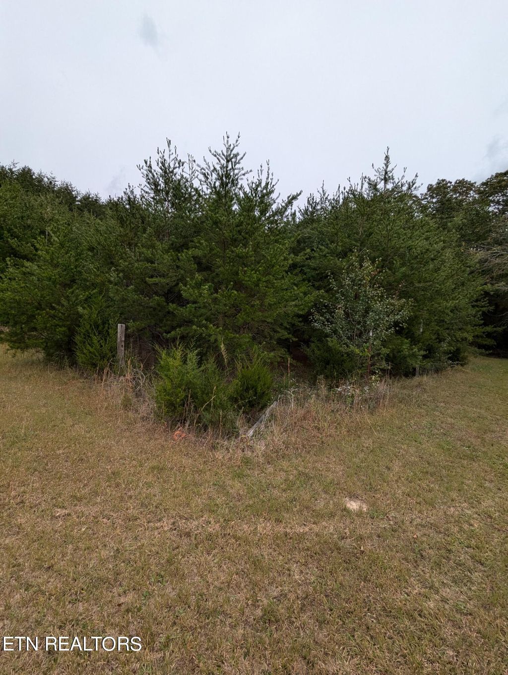 Photo of 9 Foster Road, Blaine, TN 37709 (MLS # 1279508)