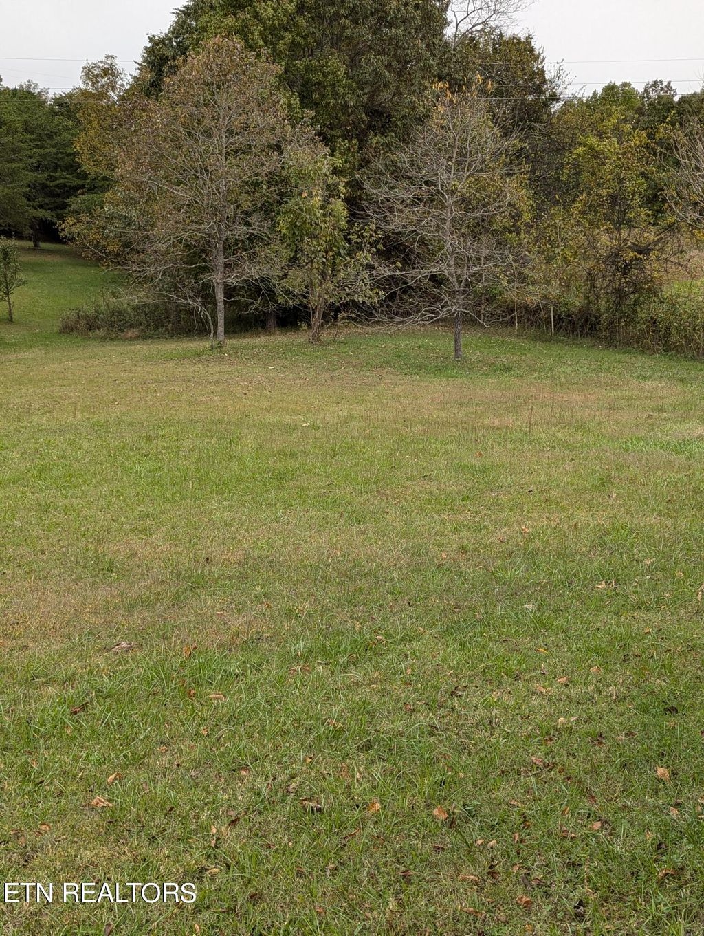 Photo of 9 Foster Road, Blaine, TN 37709 (MLS # 1279508)