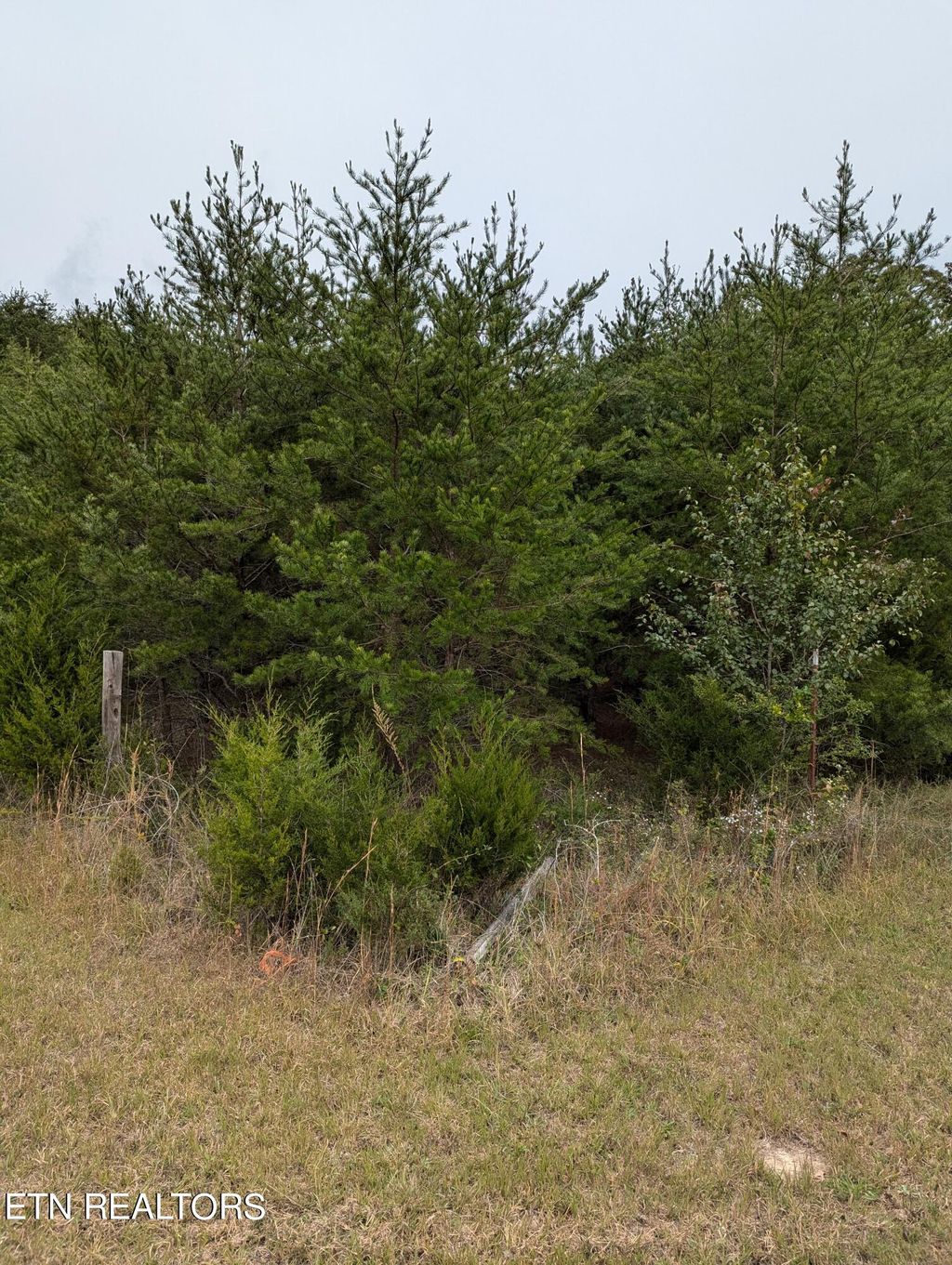 Photo of 9 Foster Road, Blaine, TN 37709 (MLS # 1279508)