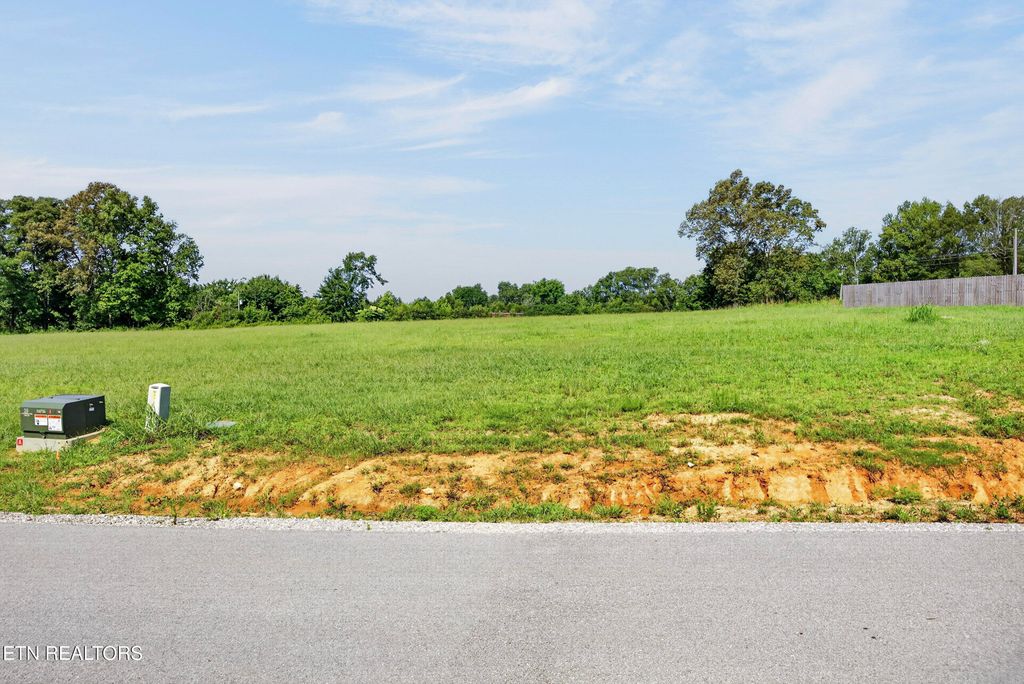 Photo of 1411 Anna Maria Lane, Cookeville, TN 38501 (MLS # 1349425)