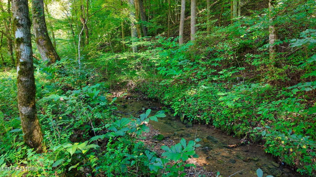 Photo of 2 Conner Rd, Powell, TN 37849 (MLS # 1359134)