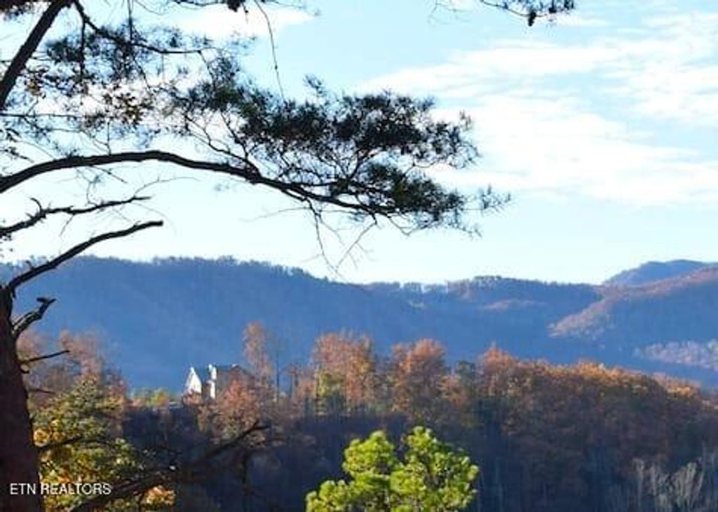 Photo of 4572 Wilderness Plateau, Pigeon Forge, TN 37863 (MLS # 1328755)