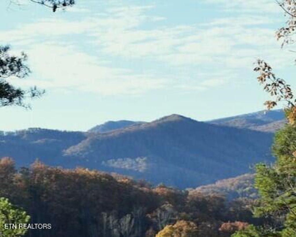 Photo of 4572 Wilderness Plateau, Pigeon Forge, TN 37863 (MLS # 1328755)