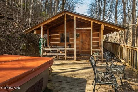 Tiny photo for 1407 Cherohala Skyway, Tellico Plains, TN 37385 (MLS # 1323711)