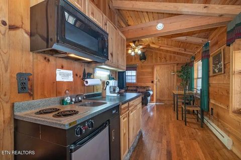 Tiny photo for 1407 Cherohala Skyway, Tellico Plains, TN 37385 (MLS # 1323711)