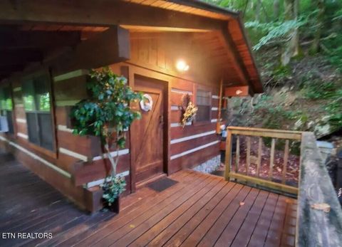 Tiny photo for 1407 Cherohala Skyway, Tellico Plains, TN 37385 (MLS # 1323711)