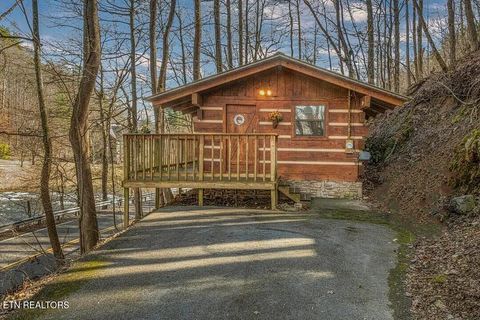 1407 Cherohala Skyway Tellico Plains TN 37385