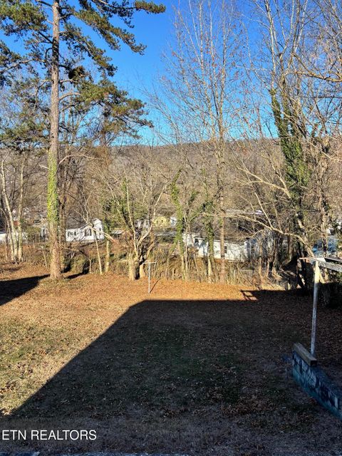 Tiny photo for 206 Long Drive, Harriman, TN 37748 (MLS # 1324348)