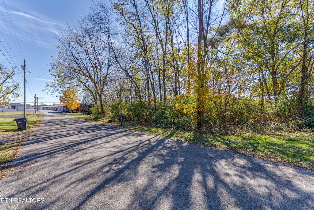 Photo of Creamery St, White Pine, TN 37890 (MLS # 1320835)