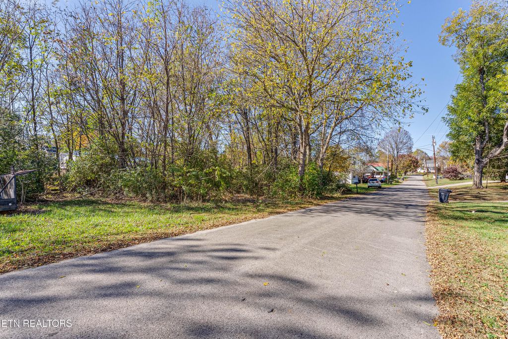 Photo of Creamery St, White Pine, TN 37890 (MLS # 1320835)