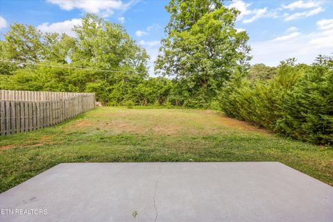Tiny photo for 1111 Scatter Way, Knoxville, TN 37919 (MLS # 1339482)