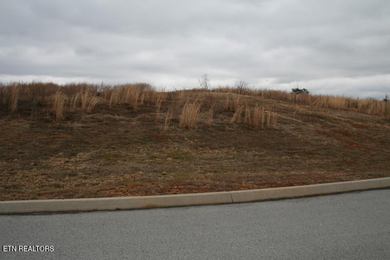 Photo of 93 Serenity Drive, Harriman, TN 37748 (MLS # 1355336)