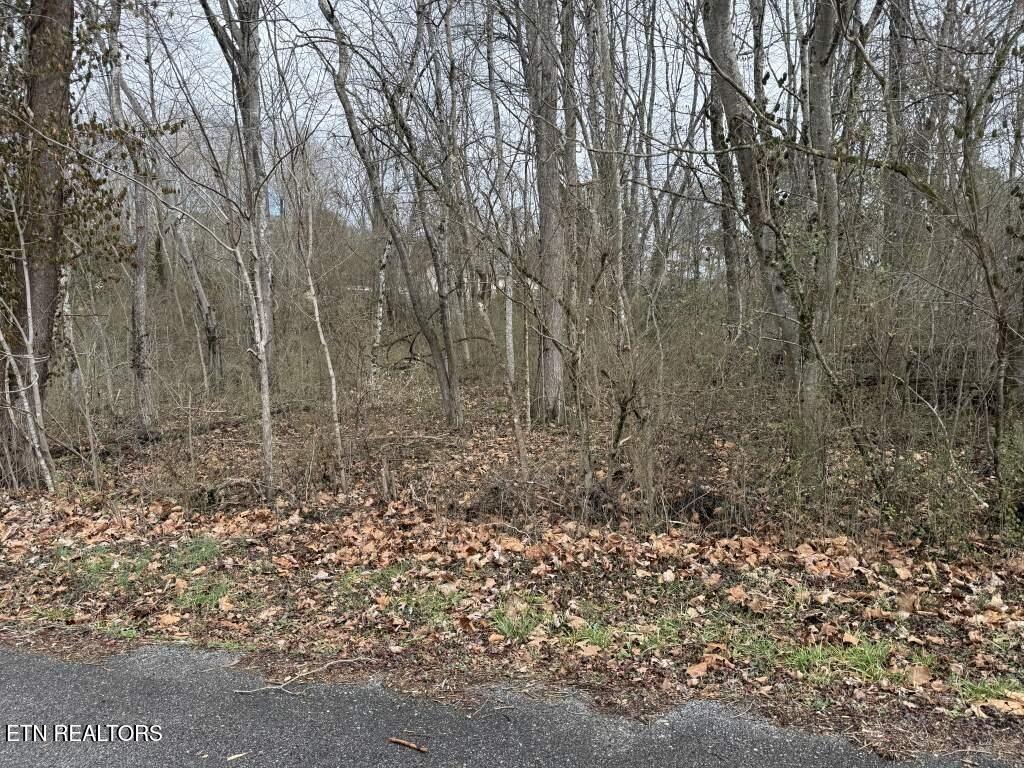 164 Jodys Lane