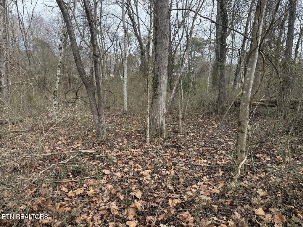 164 Jodys Lane