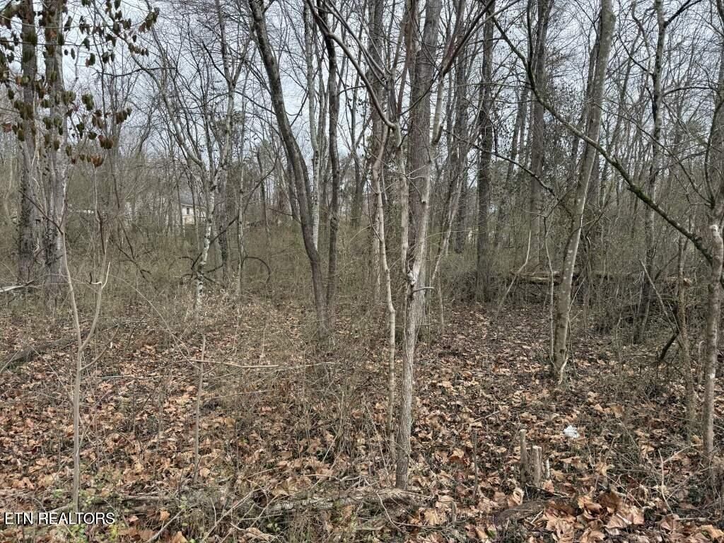 Photo of 164 Jodys Lane, Rockwood, TN 37854 (MLS # 1343179)