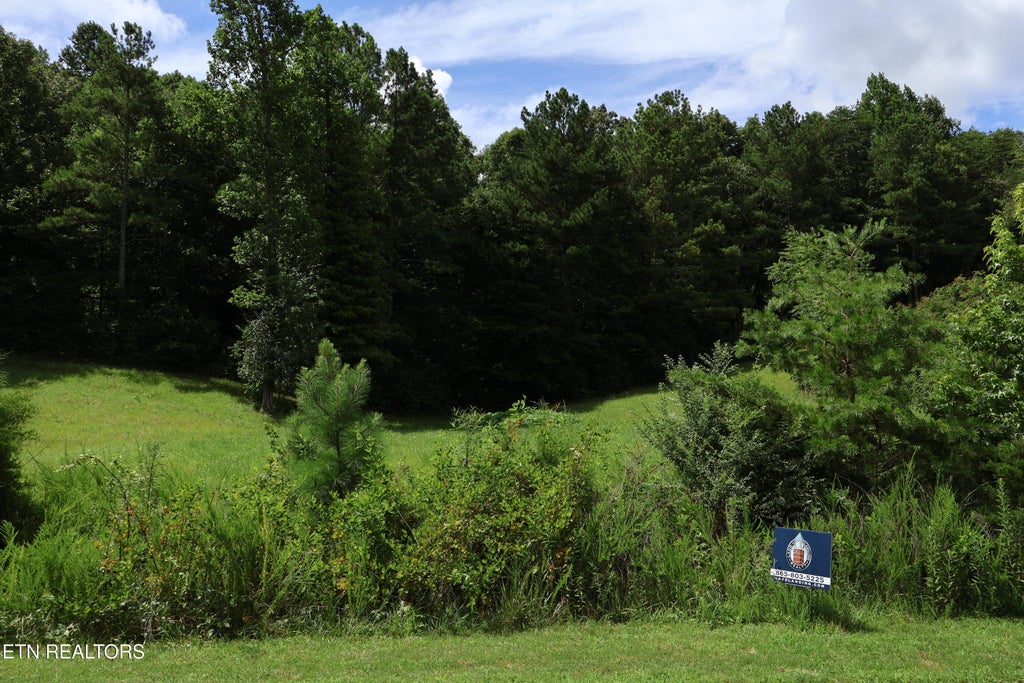 Photo of 331 Enclave Way, Kingston, TN 37763 (MLS # 1341616)