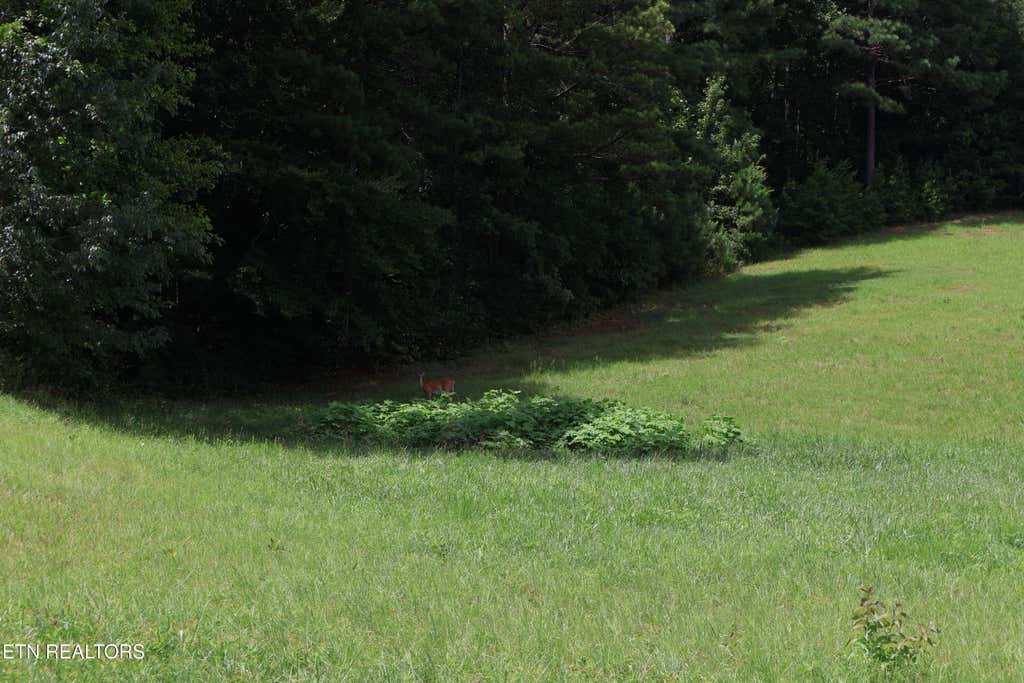 Photo of 331 Enclave Way, Kingston, TN 37763 (MLS # 1341616)