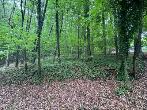 Photo of 6816 Reddege Rd, Knoxville, TN 37918 (MLS # 1338688)