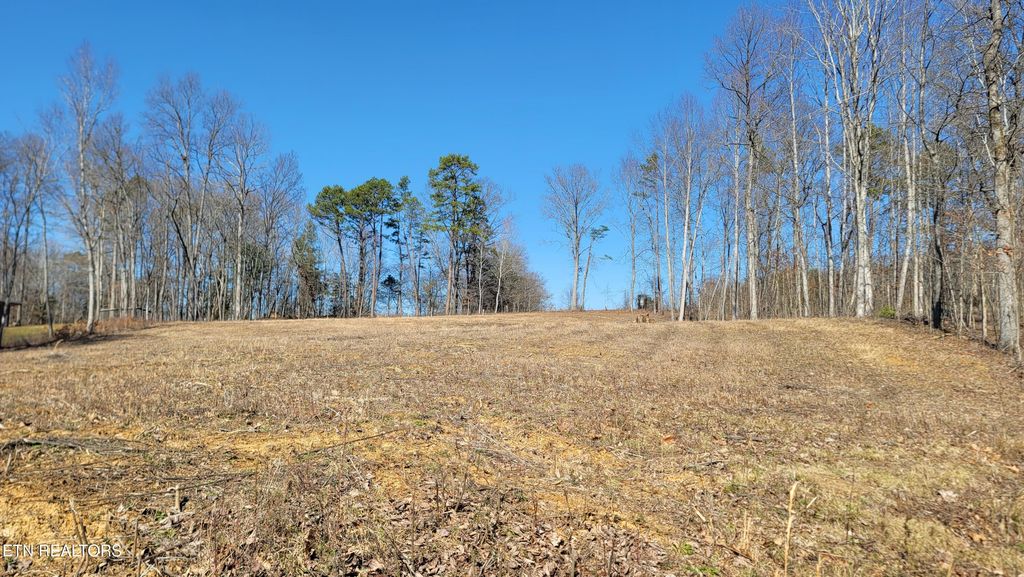 Photo of Tom Patterson Tr, Dandridge, TN 37725 (MLS # 1290727)