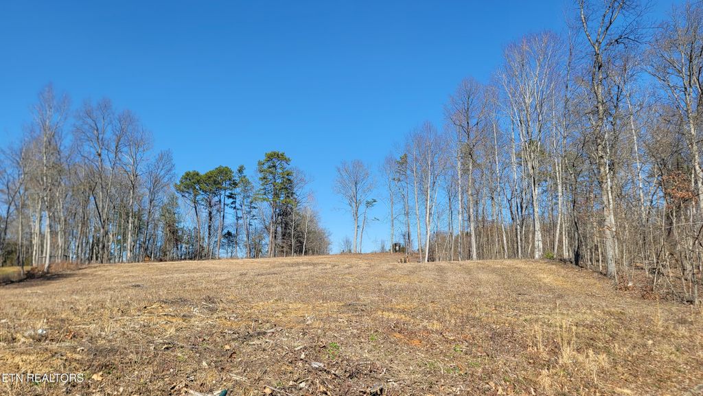 Photo of Tom Patterson Tr, Dandridge, TN 37725 (MLS # 1290727)