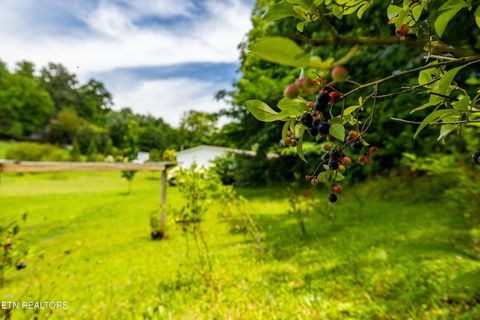 Tiny photo for 358 Webb Rd, Townsend, TN 37882 (MLS # 1349499)
