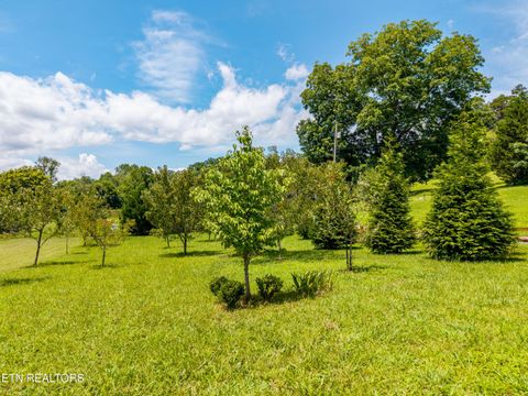 Tiny photo for 358 Webb Rd, Townsend, TN 37882 (MLS # 1349499)
