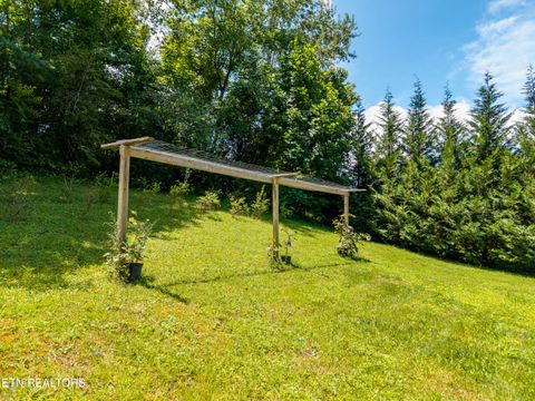 Tiny photo for 358 Webb Rd, Townsend, TN 37882 (MLS # 1349499)